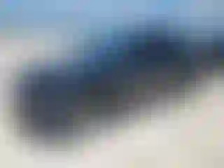 Vehicle Image- 2023 Tesla Model Y