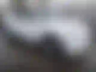 Vehicle Image- 2022 Tesla Model Y