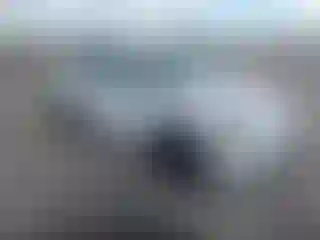 Vehicle Image- 2023 Tesla Model Y