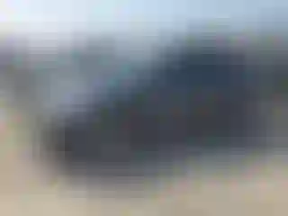 Vehicle Image- 2023 Tesla Model Y