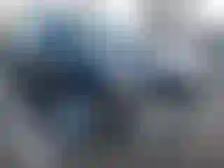 Vehicle Image- 2022 Tesla Model Y
