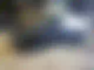 Vehicle Image- 2024 Tesla Model Y