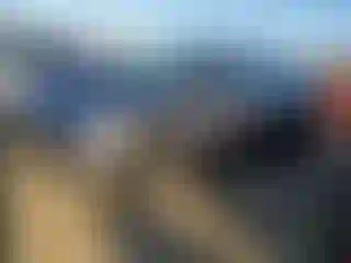 Vehicle Image- 2022 Tesla Model Y