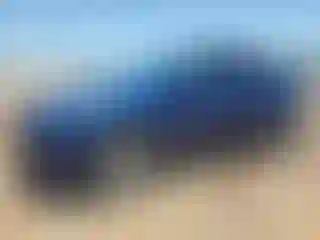 Vehicle Image- 2023 Tesla Model Y
