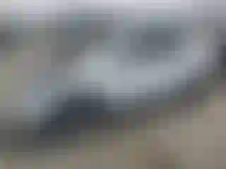 Vehicle Image- 2022 Tesla Model Y