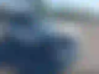 Vehicle Image- 2023 Tesla Model Y