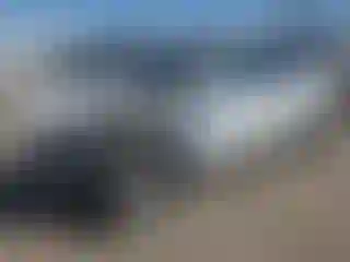 Vehicle Image- 2023 Tesla Model Y