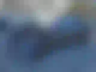 Vehicle Image- 2023 Tesla Model Y