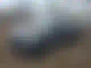 Vehicle Image- 2023 Tesla Model Y