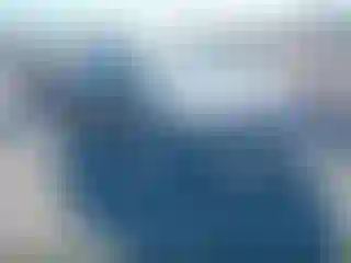 Vehicle Image- 2023 Tesla Model Y