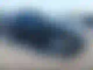 Vehicle Image- 2023 Tesla Model Y