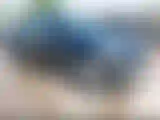 Vehicle Image- 2022 Tesla Model Y