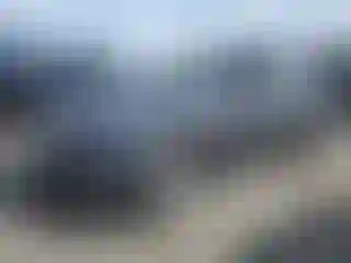 Vehicle Image- 2023 Tesla Model Y