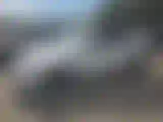 Vehicle Image- 2024 Tesla Model Y