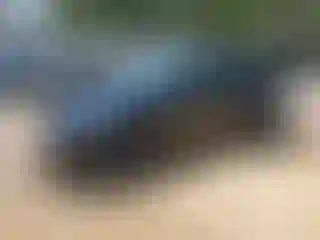 Vehicle Image- 2024 Tesla Model Y