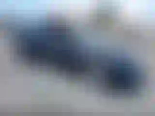 Vehicle Image- 2024 Tesla Model Y