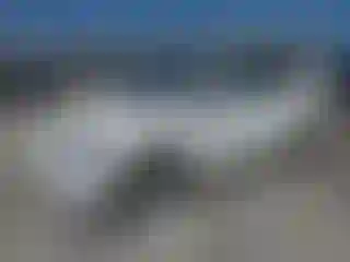 Vehicle Image- 2023 Tesla Model Y