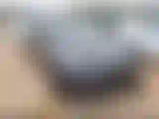 Vehicle Image- 2024 Tesla Model Y