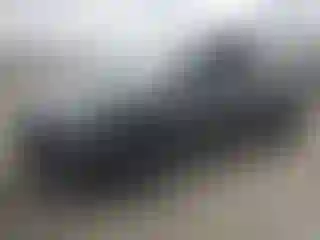 Vehicle Image- 2024 Tesla Model Y