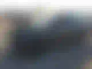Vehicle Image- 2024 Tesla Model Y