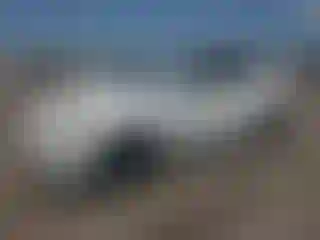 Vehicle Image- 2024 Tesla Model Y