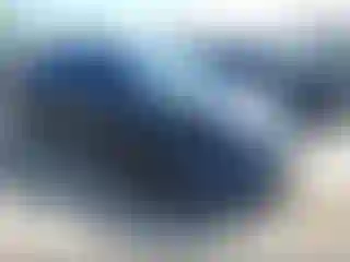Vehicle Image- 2024 Tesla Model Y