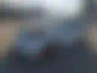 Vehicle Image- 2024 Tesla Model Y