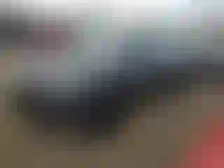 Vehicle Image- 2024 Tesla Model Y