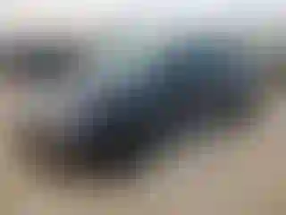 Vehicle Image- 2026 Tesla Model Y