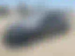 Vehicle Image- 2024 Tesla Model Y