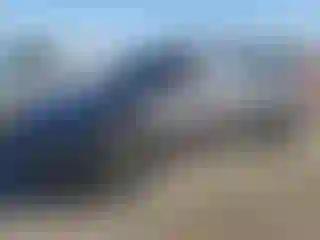 Vehicle Image- 2024 Tesla Model Y