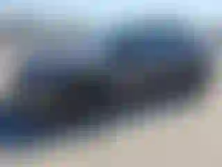 Vehicle Image- 2024 Tesla Model Y