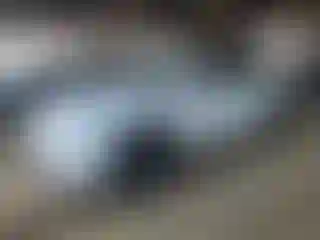 Vehicle Image- 2024 Tesla Model Y