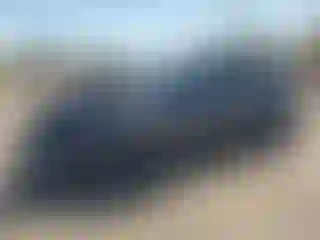 Vehicle Image- 2025 Tesla Model Y