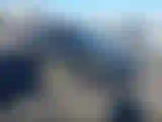 Vehicle Image- 2025 Tesla Model Y