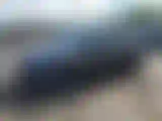 Vehicle Image- 2025 Tesla Model Y
