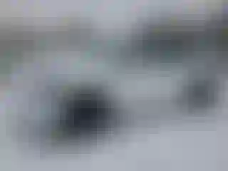 Vehicle Image- 2025 Tesla Model Y