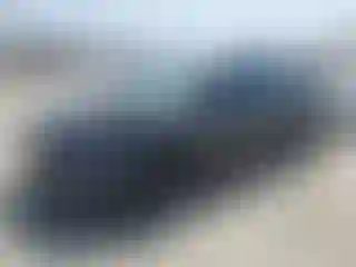 Vehicle Image- 2025 Tesla Model Y
