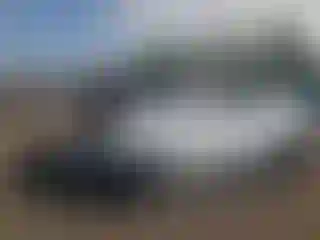 Vehicle Image- 2024 Tesla Model Y