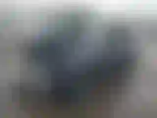 Vehicle Image- 2025 Tesla Model Y
