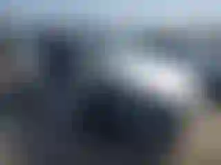 Vehicle Image- 2024 Tesla Model Y