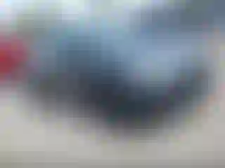 Vehicle Image- 2024 Tesla Model Y