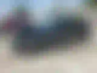 Vehicle Image- 2025 Tesla Model Y