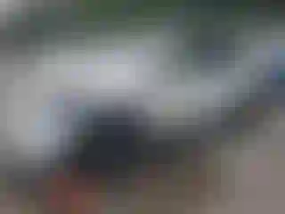 Vehicle Image- 2025 Tesla Model Y