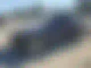 Vehicle Image- 2022 Tesla Model Y