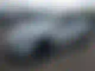 Vehicle Image- 2022 Tesla Model Y