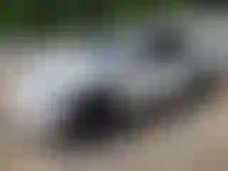 Vehicle Image- 2022 Tesla Model Y