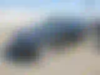 Vehicle Image- 2023 Tesla Model Y