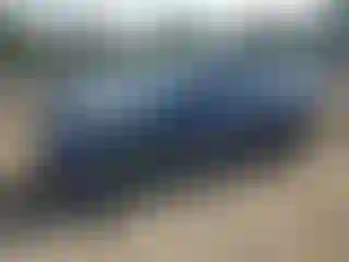 Vehicle Image- 2023 Tesla Model Y