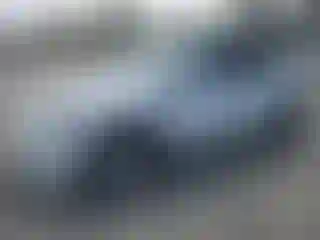 Vehicle Image- 2023 Tesla Model Y